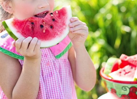 Catégorie La position de l’AVF sur l’alimentation végétale