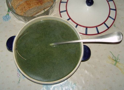 Recette Soupe végétale aux orties