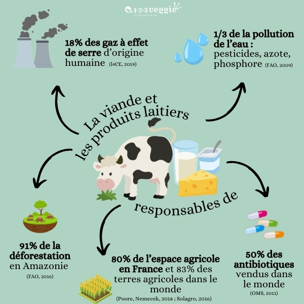 notre-assiette-change-le-monde notre-assiette-change-le-monde