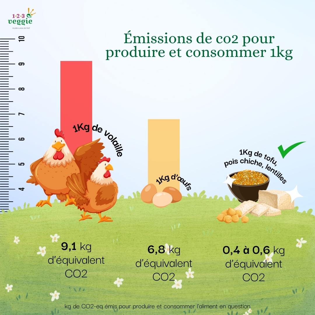 impact-volaille impact-volaille