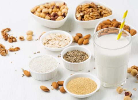 Catégorie Remplacer le lait